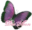  deeann, purple butterfly