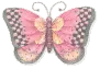 Pink Butterfly