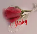 Shirley