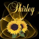 Shirley