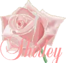 Shirley