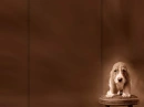 Dog2