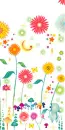 KITTY'S GARDEN
