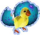 chick