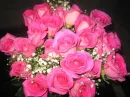 Pink flowers