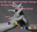 importent things