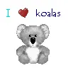 I Love Koalas