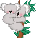 Cute Koala With Baby