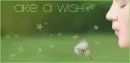make a wish