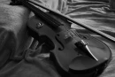 black violin