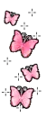 butterflys