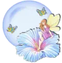 fairy