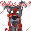 Mandy's dog