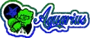 Aquarius