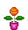 Dancing Flower