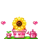 Flower Girl