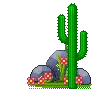 Cactus and Flowers