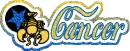 Cancer