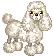Poodle