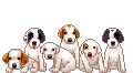 Dogs