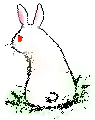 Backwards Bunny