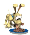 Eating Dog