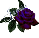 Jamie Rose