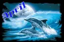 April Dolphin
