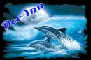 DeeAnn Dolphin