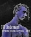till lindemann