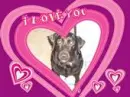 I love you.