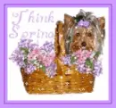 Think Spring