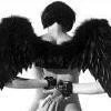 angel wings
