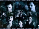 HIM - Rip Out The Wings Of A Butterfly