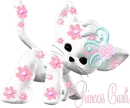 kitty