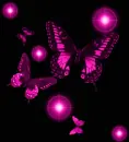 a purple dream