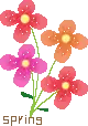 SPRING