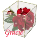 Gracie - Rose GlassBox