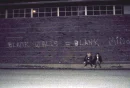 Blank Walls