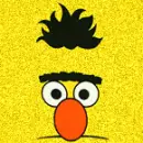 Bert