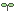 tiny sprout