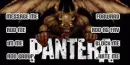 pantera