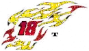kyle busch