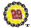 kevin harvick