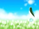 Field of White Flowers