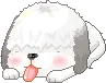 zzz