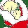 Christmas Kitten