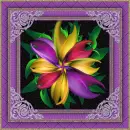multi colored flower 