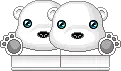 bears