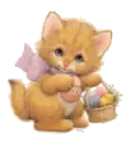 Kitten